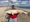 26-595 Red Drum 10/01/17 7:36am 26-595 Red Drum 10/01/17 7:36am