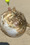 6446 Pufferfish 08/20/21 3:08am