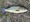 7209 Largemouth Bass 06/06/22 6:06pm