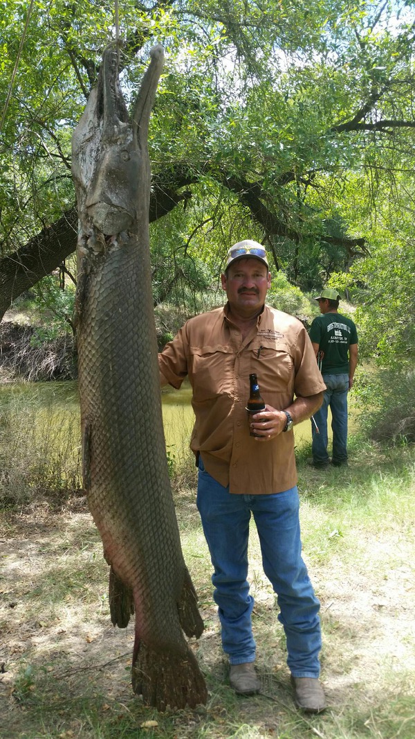 739 Alligator Gar 02/01/18 8:30am 739 Alligator Gar 02/01/18 8:30am