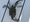 7631 Blue Claw Crab 08/24/22 5:47pm