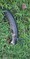 7673 Snakehead 08/31/22 11:57pm