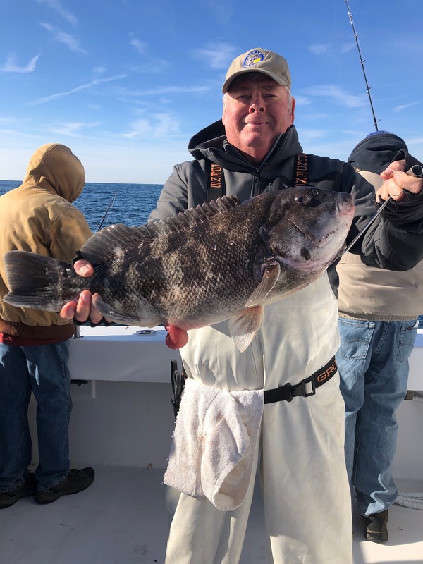  Tautog Whisperer Blackfish Tog Fishing Fishermen