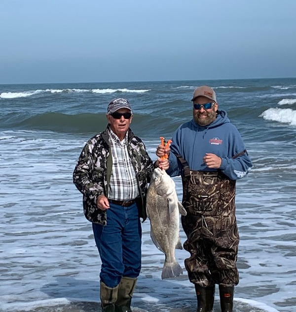 Black Drum in the Surf - Texas Fish & Game Magazine