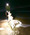 8308 Sand Tiger 07/05/23 4:11pm