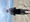 8578 Kingfish 08/24/23 11:59am
