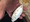 8717 Jack ? 09/08/23 4:00pm