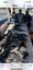 8917 Sea Bass 10/25/23 9:32am