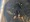 9057 Spiny Dogfish 11/11/23 3:55pm