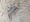 9060 Spiny Dogfish 11/11/23 4:24pm