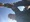 9069 Spiny Dogfish 11/16/23 2:02pm