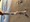 9135 Spiny Dogfish 12/16/23 7:47am