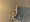 9136 Spiny Dogfish 12/16/23 7:49am