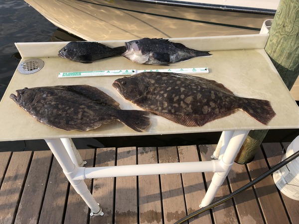 9 Pound Flounder and 5 Pound Sea Bass - Ocean City MD Fishing