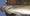 9556 Striped Bass 05/20/24 5:22am
