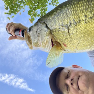Image #9562 from GreatAnglers.com
