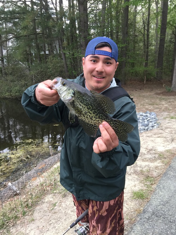 974 Black Crappie 05/05/18 5:40pm 974 Black Crappie 05/05/18 5:40pm